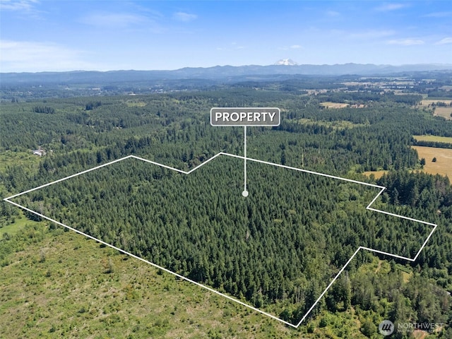 0 Kiser, Ethel, WA 98542 - photo 9