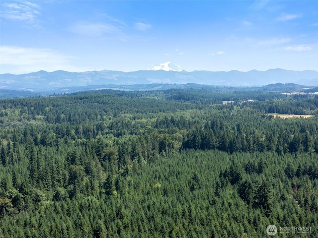 0 Kiser, Ethel, WA 98542 - photo 10