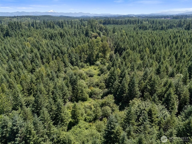 0 Kiser, Ethel, WA 98542 - photo 11