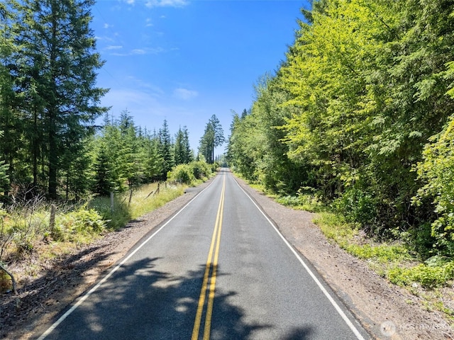 0 Kiser, Ethel, WA 98542 - photo 17