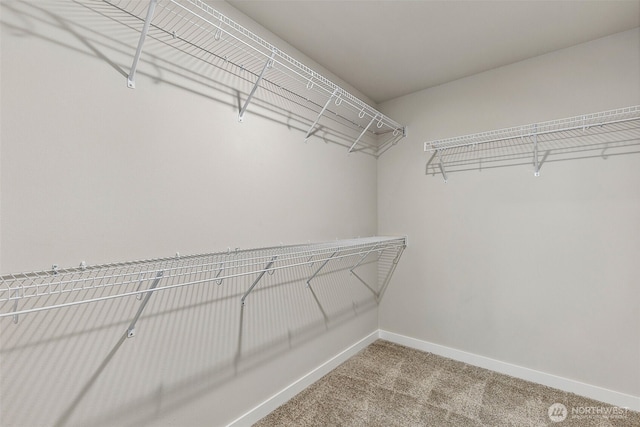 8812 126th Street Ct E, Puyallup, WA 98375 - photo 24