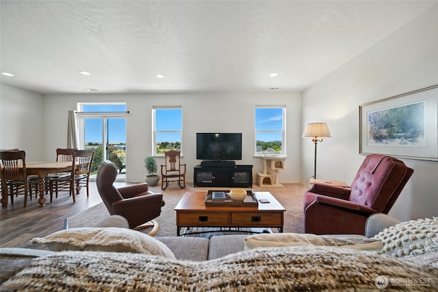 532 SW Alicia Loop, College Place, WA 99324 - living area featuring plenty of natural light and recessed lighting