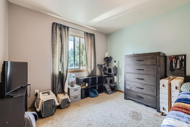 9806 6th Pl SE, Lake Stevens, WA 98258 - carpeted bedroom with baseboards