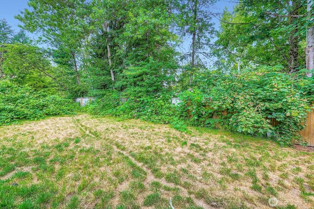 9806 6th Pl SE, Lake Stevens, WA 98258 - view of yard
