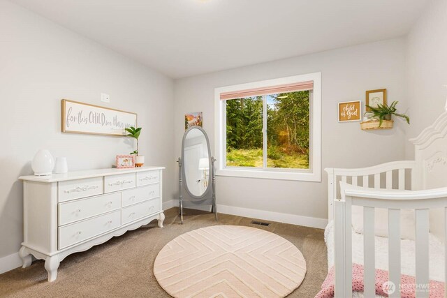4906 Lerch Rd, Snohomish, WA 98290 - photo 22