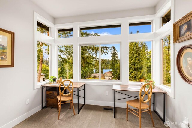 4906 Lerch Rd, Snohomish, WA 98290 - photo 24