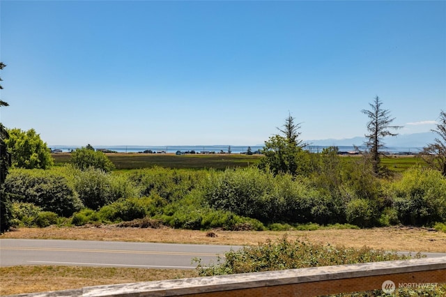 1021 Halsey Dr, Coupeville, WA 98239 - photo 22