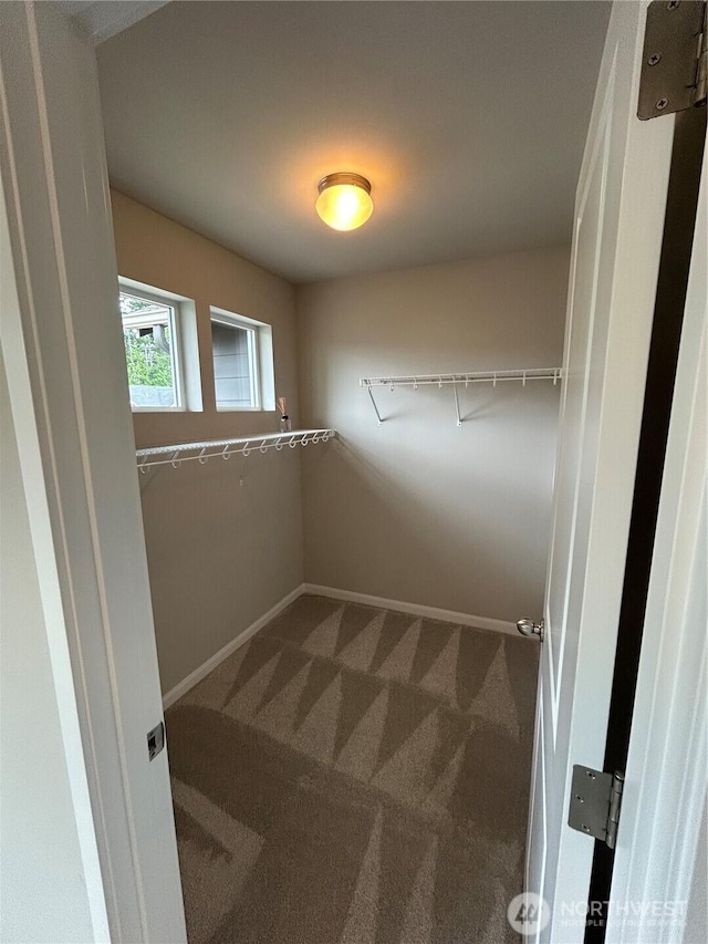 1881 Claret Loop NW, Poulsbo, WA 98370 - walk in closet featuring carpet flooring