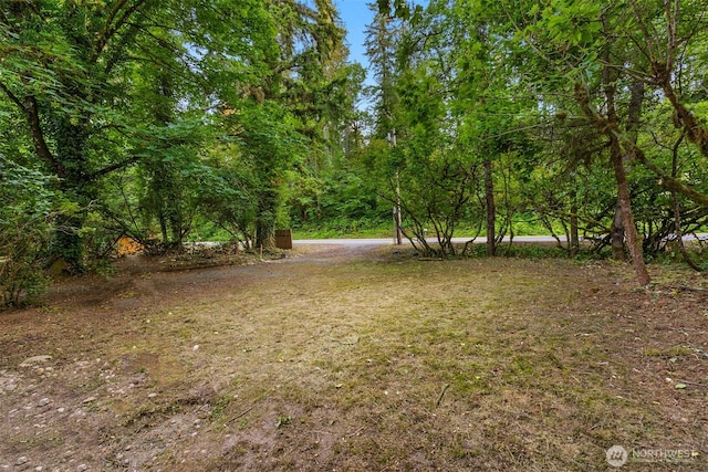 17029 Auburn Black Diamond, Auburn, WA 98029 - photo 4