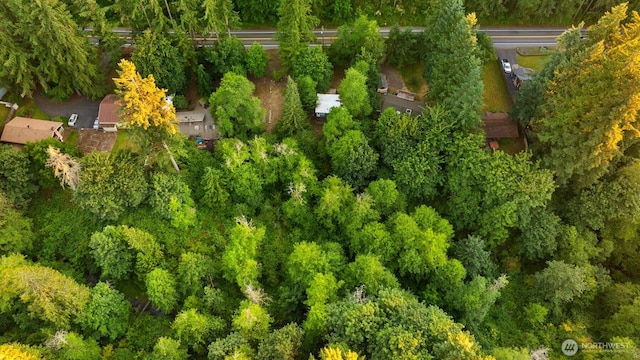 17029 Auburn Black Diamond, Auburn, WA 98029 - photo 10
