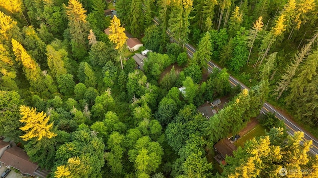 17029 Auburn Black Diamond, Auburn, WA 98029 - photo 11