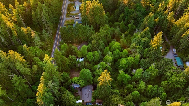 17029 Auburn Black Diamond, Auburn, WA 98029 - photo 12