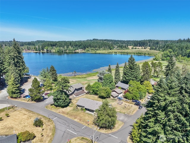 2444 118th Ct SW, Olympia, WA 98512 - photo 1