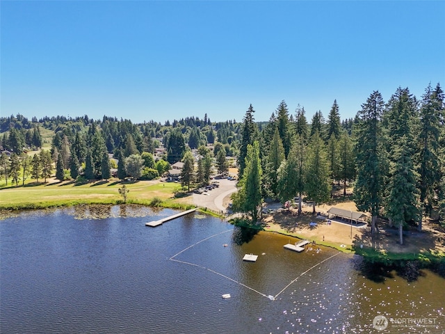 2444 118th Ct SW, Olympia, WA 98512 - photo 38