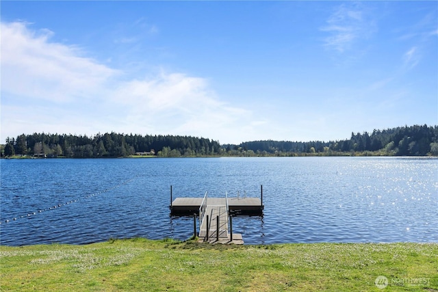 2444 118th Ct SW, Olympia, WA 98512 - photo 39