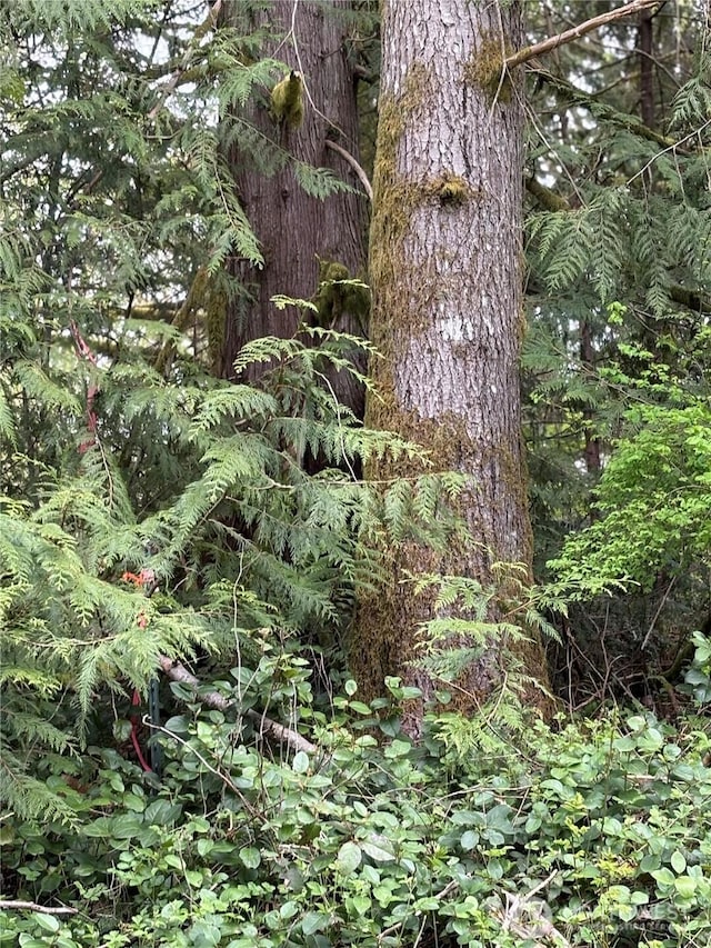 0LOT15 W Shore Dr, Lake Cavanaugh, WA 98274