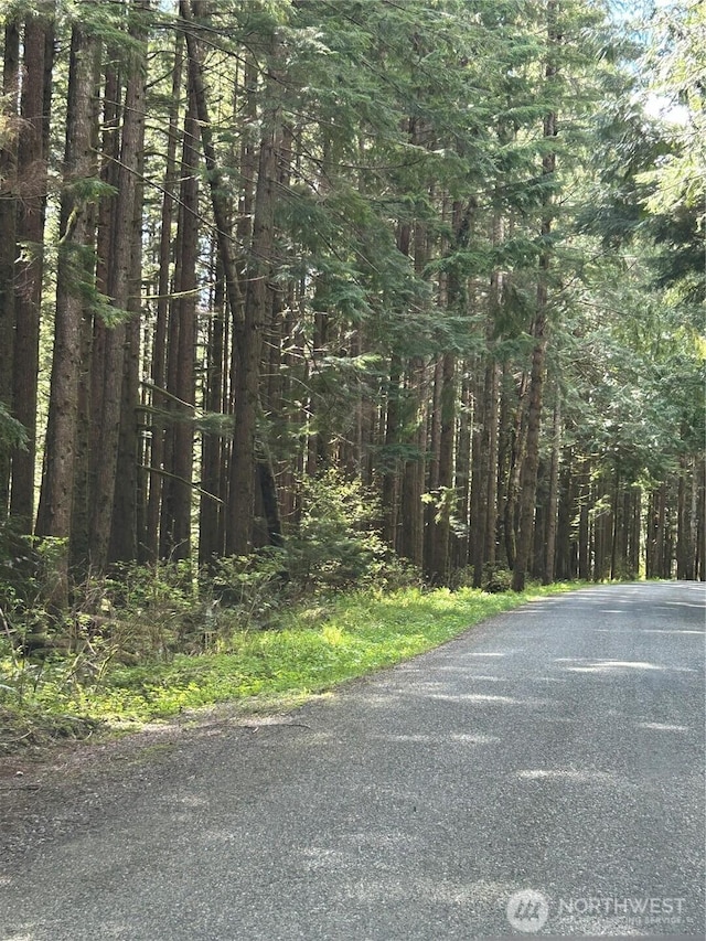 0LOT15 W Shore Dr, Lake Cavanaugh, WA 98274