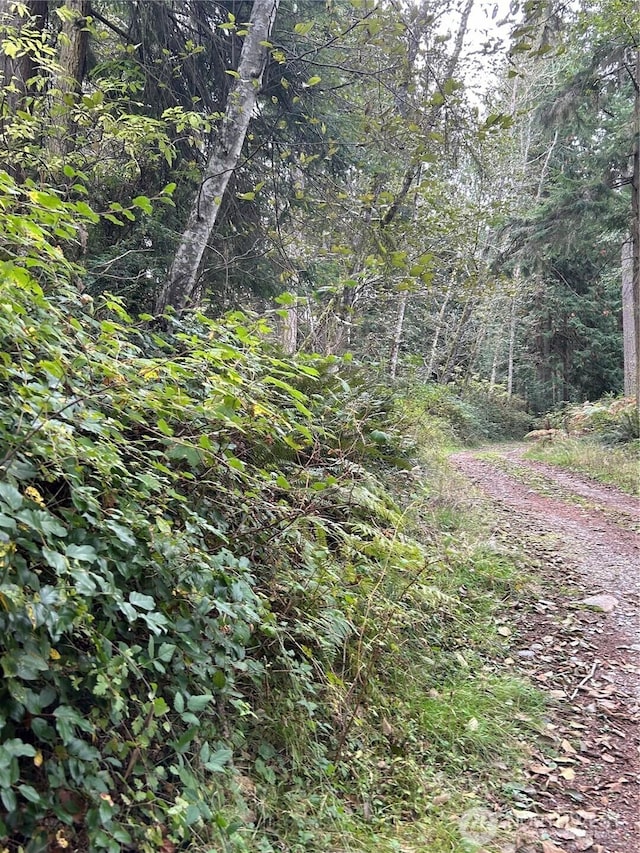 0LOT15 W Shore Dr, Lake Cavanaugh, WA 98274