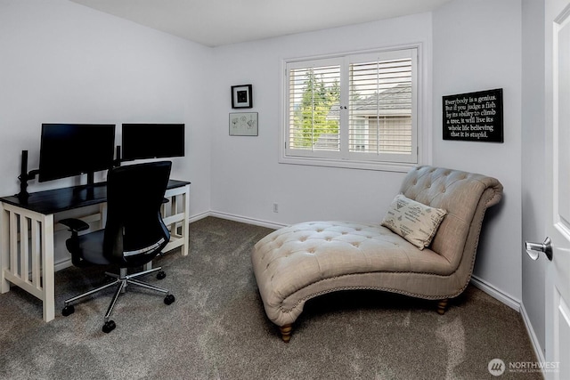 4621 230th Ter SE, Sammamish, WA 98075 - photo 27