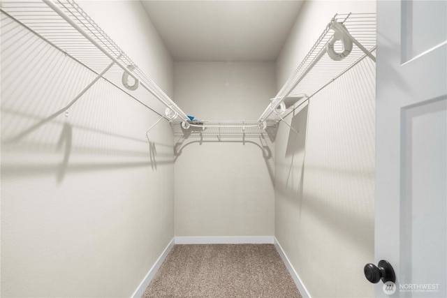 814 9th St SW, Puyallup, WA 98371 - walk in closet with carpet floors