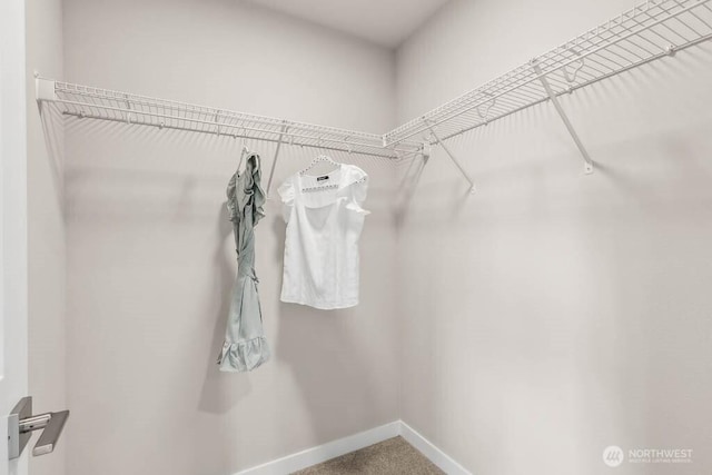 13212 164th Ave SE Unit 207, Renton, WA 98059 - walk in closet with carpet floors