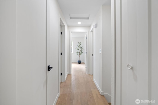 13652 99th Ave NE, Kirkland, WA 98034 - hallway featuring light wood-type flooring and attic access
