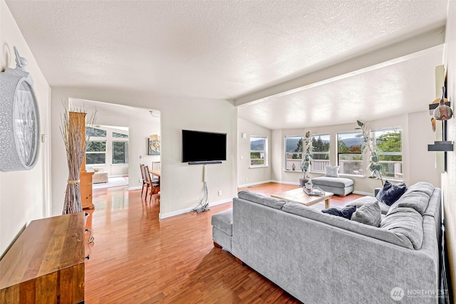 2366 Northshore Rd, Bellingham, WA 98226 - living area featuring wood finished floors, a textured ceiling, and vaulted ceiling