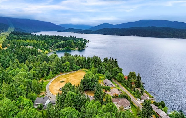 2366 Northshore Rd, Bellingham, WA 98226 - drone / aerial view of a water and mountain view and a forest