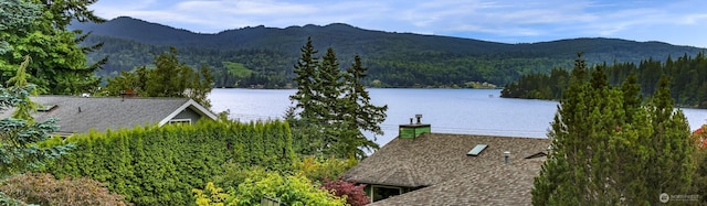 2366 Northshore Rd, Bellingham, WA 98226 - water view featuring a heavily wooded area and a mountain backdrop