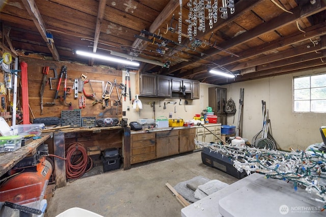 347 W King Tut Rd, Bellingham, WA 98226 - below grade area featuring a workshop area