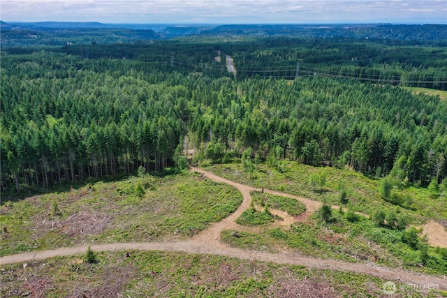 0 Ap Tubbs Rd, Carbonado, WA 98323 - photo 1