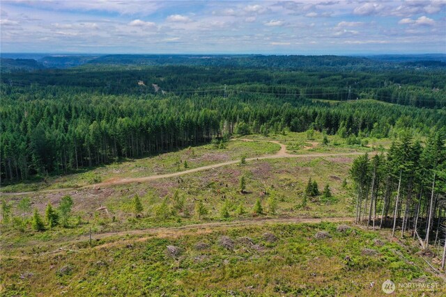 0 Ap Tubbs Rd, Carbonado, WA 98323 - photo 7