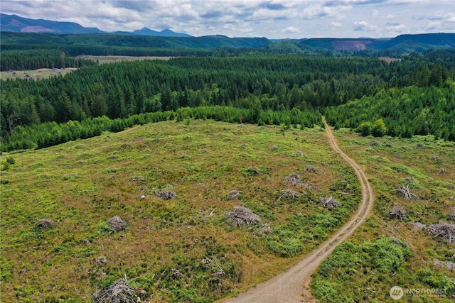 0 Ap Tubbs Rd, Carbonado, WA 98323 - photo 8
