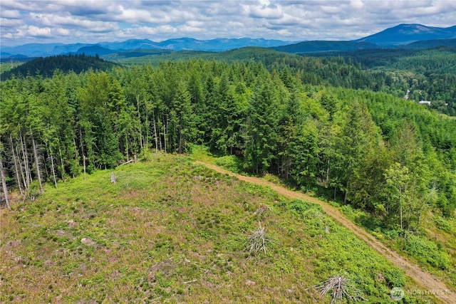 0 Ap Tubbs Rd, Carbonado, WA 98323 - photo 9