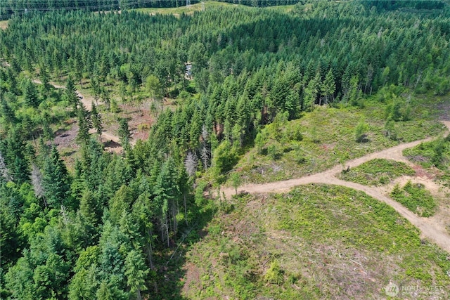 0 Ap Tubbs Rd, Carbonado, WA 98323 - photo 10
