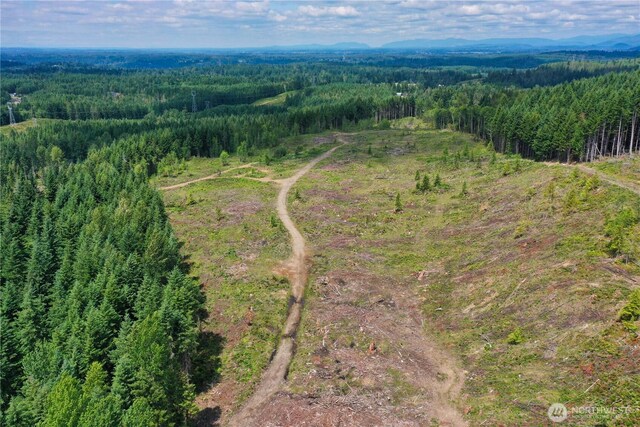 0 Ap Tubbs Rd, Carbonado, WA 98323 - photo 11