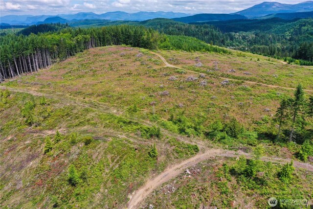 0 Ap Tubbs Rd, Carbonado, WA 98323 - photo 12