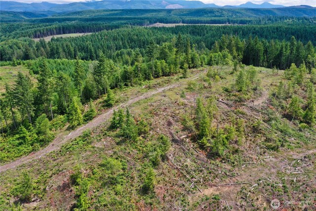 0 Ap Tubbs Rd, Carbonado, WA 98323 - photo 13