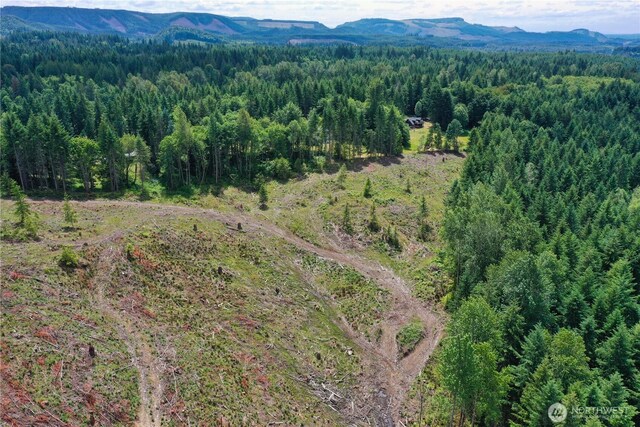 0 Ap Tubbs Rd, Carbonado, WA 98323 - photo 14