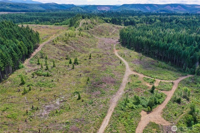 0 Ap Tubbs Rd, Carbonado, WA 98323 - photo 15