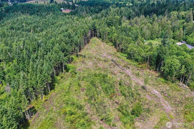 0 Ap Tubbs Rd, Carbonado, WA 98323 - photo 16