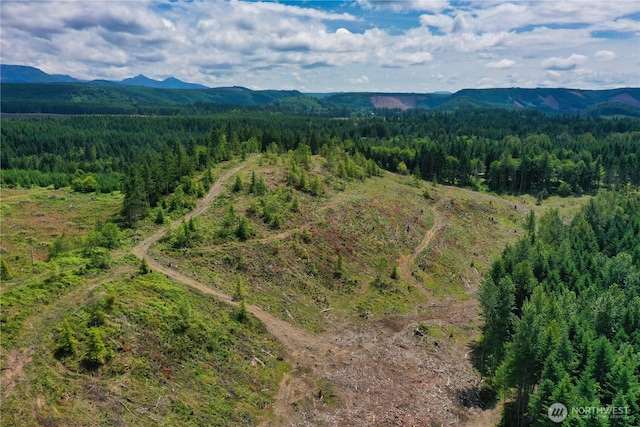 0 Ap Tubbs Rd, Carbonado, WA 98323 - photo 17