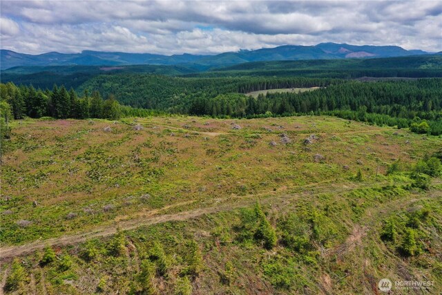 0 Ap Tubbs Rd, Carbonado, WA 98323 - photo 18