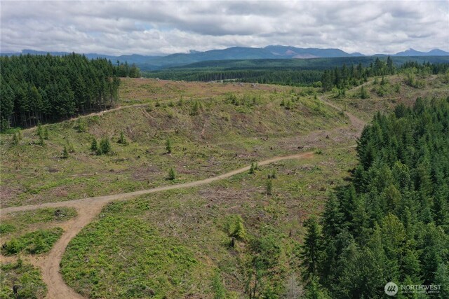 0 Ap Tubbs Rd, Carbonado, WA 98323 - photo 19
