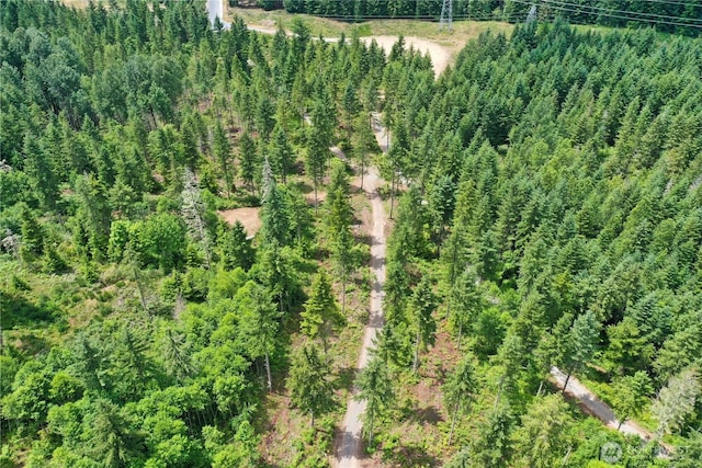 0 Ap Tubbs Rd, Carbonado, WA 98323 - photo 20
