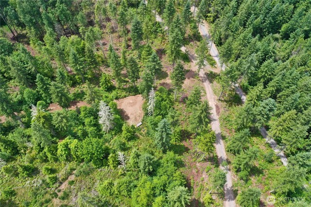 0 Ap Tubbs Rd, Carbonado, WA 98323 - photo 23