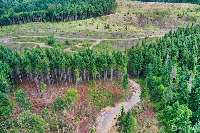 0 Ap Tubbs Rd, Carbonado, WA 98323 - photo 24