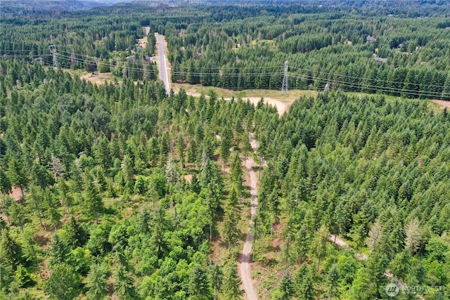 0 Ap Tubbs Rd, Carbonado, WA 98323 - photo 25