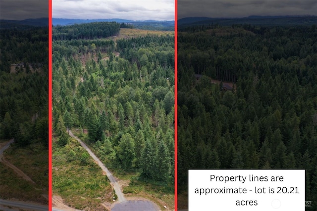 0 Ap Tubbs Rd, Carbonado, WA 98323 - photo 3