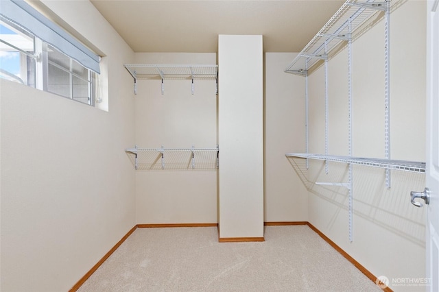 2406 119th St SW Unit D2, Everett, WA 98204 - spacious closet featuring carpet flooring